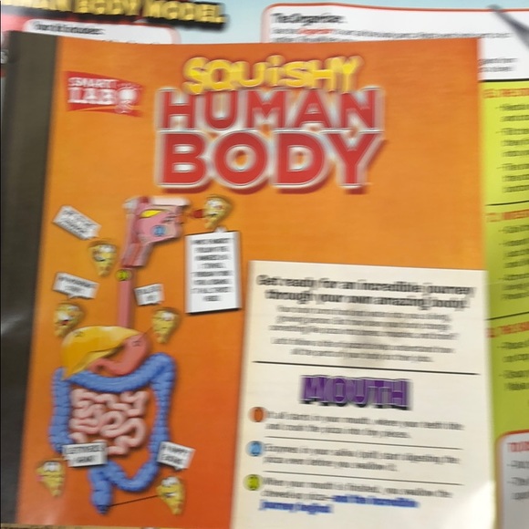 ☀︎︎<{𝚂𝚚𝚞𝚒𝚜𝚑𝚢 𝙷𝚞𝚖𝚊𝚗 𝙱𝚘𝚍𝚢}>☀︎︎ - Picture 4 of 5